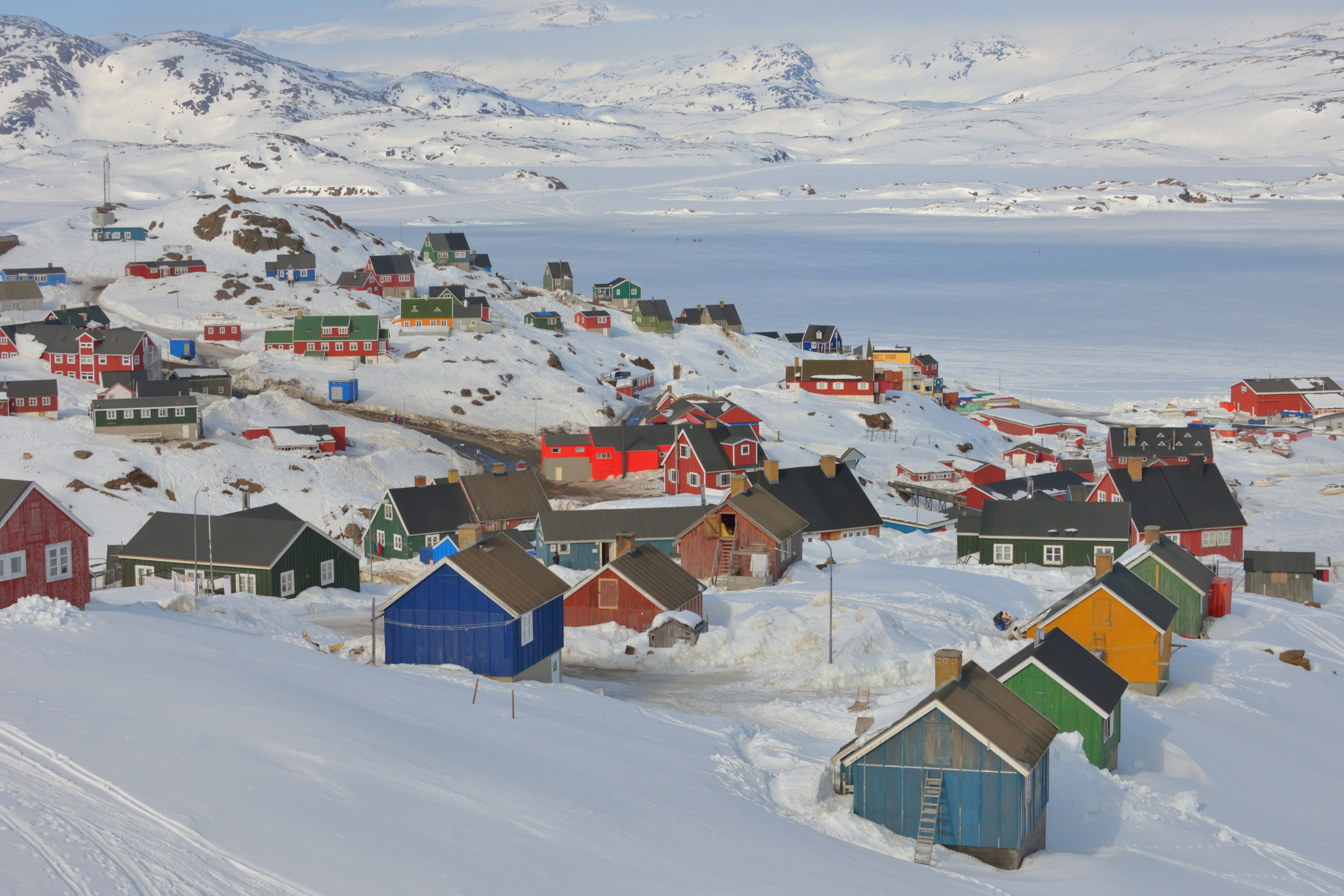 15 ella island.webp